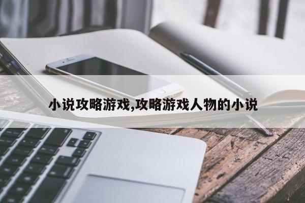 小说攻略游戏,攻略游戏人物的小说