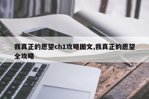 我真正的愿望ch1攻略图文,我真正的愿望全攻略