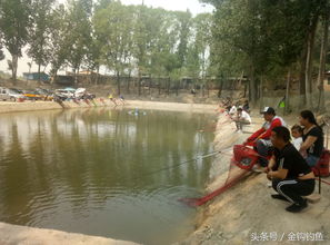 雨前钓鱼攻略游戏女生推荐(雨前钓鱼在什么位置最好!)