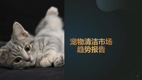 人变成猫咪攻略游戏下载(人变成了猫)