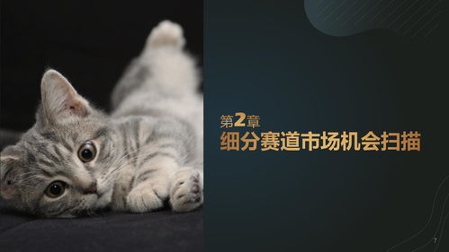 亚洲黑熊猫餐厅游戏攻略(熊猫餐厅官网下载)