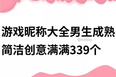 购车攻略游戏昵称男生可爱(买车的游戏)