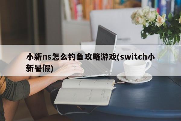 小新ns怎么钓鱼攻略游戏(switch小新暑假)