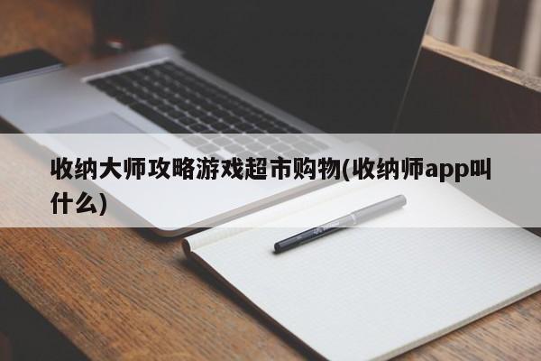 收纳大师攻略游戏超市购物(收纳师app叫什么)